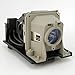 CTLAMP NP13LP/ 60002853 Projector Lamp with Housing Compatible with NEC NP110 NP115 NP210 NP215 NP216 NP115G3D V230X V260W V260X NP110+ NP110G NP115+