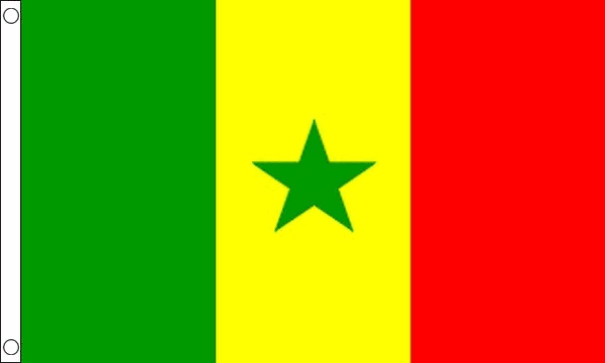 Senegal Flag 5 x 3 FT - 100% Polyester With Eyelets FlagSuperstore©, Multicolor