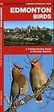 Edmonton Birds