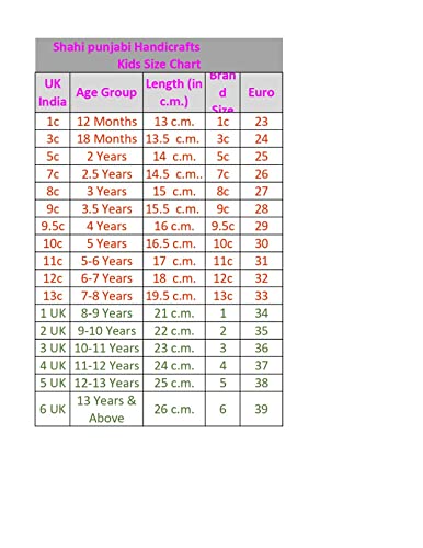 SHAHI-Punjabi-Handicrafts-Girls-Punjabi-Mojaris-Jutti