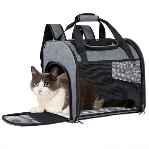 MAIYADUO Katzenrucksack mit Netzfenster - Faltbarer Haustierträger für Katzen & Kleine Hunde (4-8 kg) mit Reißverschluss-Sicherheitsverschluss, Sicherheitsleine, Ideal für Reisen & Spaziergänge