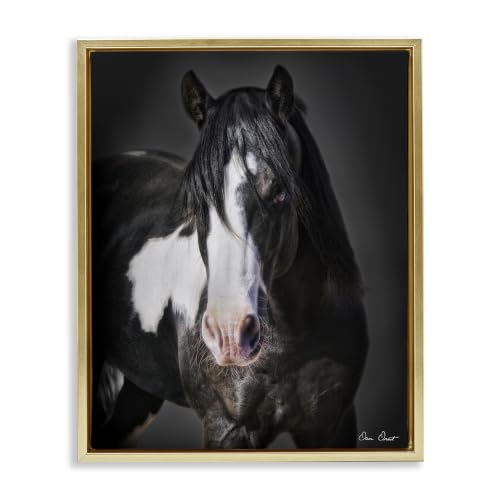 Black & White Horse Farmhouse, 17 x 21 Inch Canvas in Floater Frame
