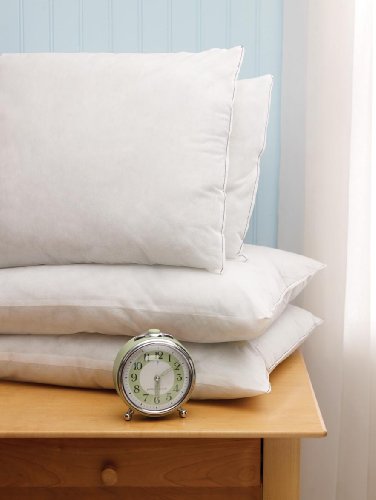 Pillow, Disposable, 18x24, Med Wt, 12/cs