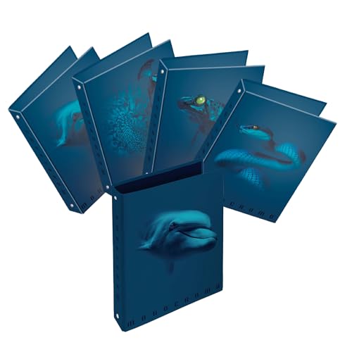 Pigna, Raccoglitore con anelli f.to A4 MONOCROMO BLUE, raccoglitori con