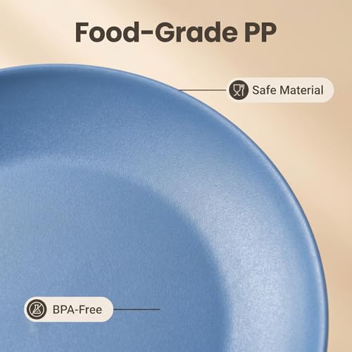 WEXINHAO Plastic Dinner Plates Reusable, Unbreakable Salad Plates 10 inch set of 12, BPA Free Dishwasher & Microwave Safe Party Plate for Kids Kitchen Camper Outdoor (Grey Stone) by WEXINHAO - Image 3