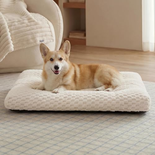 Bedsure Washable Dog Bed for Crate Large Sized Dog, Soft Fluffy Bubble Fleece Pet Bed Mat for Deep Sleep, Non-Slip and Machine Washable Kennel Sleeping Pad for Crate/Floor/Car, 35"x23"x3.5", Beige