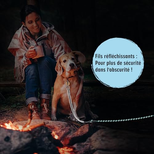 Aystkniet Schleppleine 3M 5M 10M 15M 20M 30M Hundeleine mit Abnehmbare Elastische Kordel | Abschließbarer Haken | Gepolsterter Griff, Langlaufleine Trainingsleine für Mittlere Große Hunde