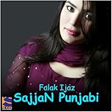 Sajjan Punjabi - Single
