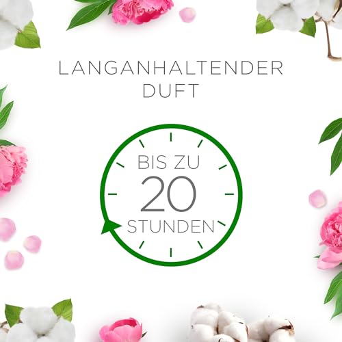Air Wick Wohlfühl-Duftkerze im Glas – Duft: Cotton Flower Dream – Je bis zu 20 Stunden Brenndauer – Enthält natürliche ätherische Öle – 6 x 105 g Duftkerzenset