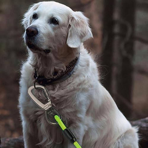 Cable de corredor para perros antitirones que evita escapes en patios y parcelas 6