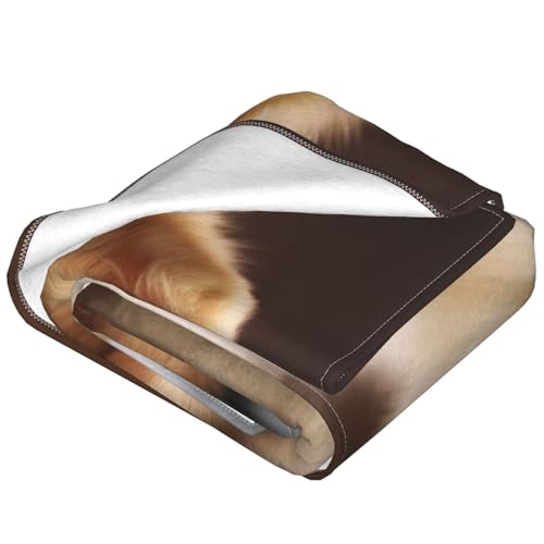 Couverture polaire motif Poméranie, cadeau idéal maison - 5
