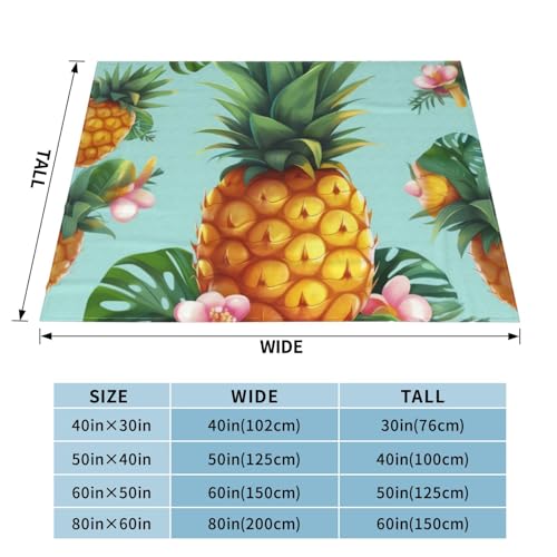 Couverture microfibre légère toutes saisons plaid canapé flanelle - 4