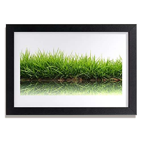 Affiche encadrée contre les murs vides cadre MDF plante naturelle d'eau 30x20