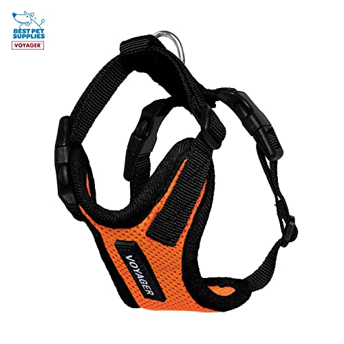 Image of Best Pet Supplies Voyager Step-in Lock Pet Harness w Reflective Pet Leash Combo Set with Neoprene Handle 5ft - Supports Small, Medium and Large Breed Puppies /Cats - Orange /Black Trim, XXXS