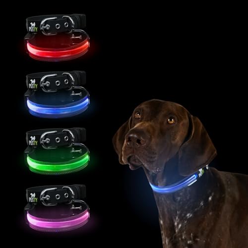 Petty Italia Collare regolabile per cani in Biothane con LED, Collare luminoso notturno in Biothane con PVC e batteria ricaricabile. (Rosso, L)