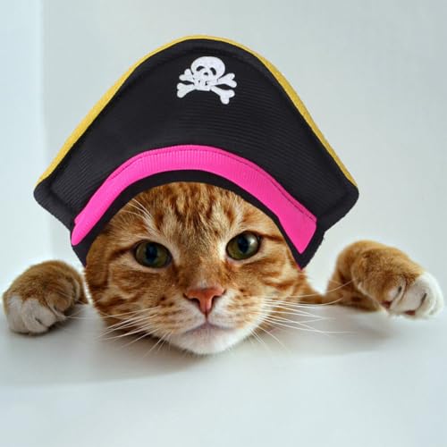 Disfraz Pirata para Perros y Gatos Talla S Beaupretty miniatura 3
