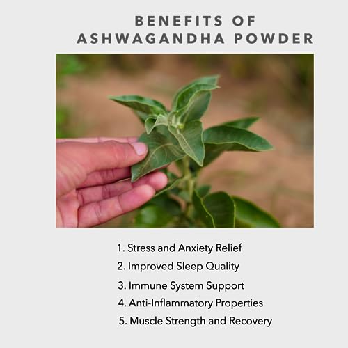 Image of Carmel Organics Combo of Ashwagandha Powder, Shatavari Powder and Mucuna Powder (100 Gram Each) | Jaivik Bharat Certified | Non-GMO | No Added Preservatives