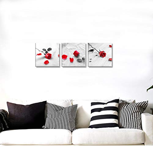 Nan Wind 3 Pcs Modern Canvas Painting Black And White Red Rose Canvas Art Painting Abstract Wall Art Decorations Flower Picture On Canvas For Home Decor Valentines Gift Stretched And Framed #TOP2