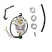 SAKITAM Carburetor Replaces for Champion Dual Fuel Generator Part# 47.131000.29