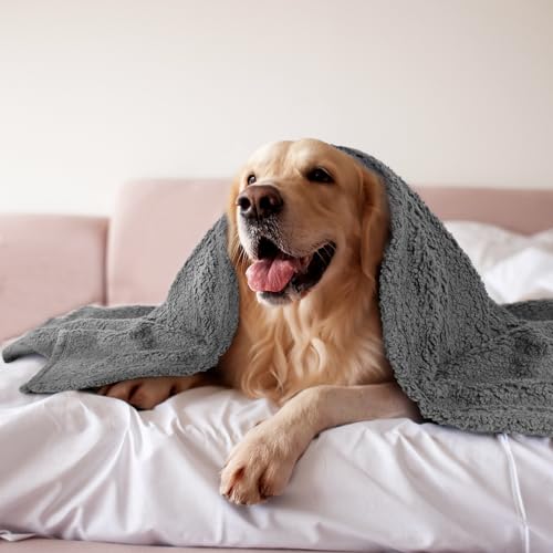 furrybaby Dog Blanket Soft Dog Blankets for Small Dogs Puppy Essentials Washable Sherpa Fleece Cat Blanket 24x32 Inches for Bed Furniture Couch Sofa (Small, Grey)