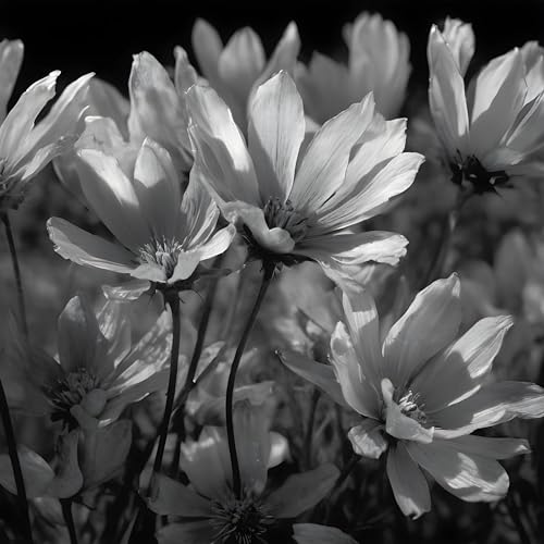 Road Of Understanding