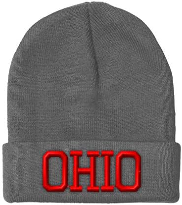 Embroidery Winter Hats Women Skull Cap 
