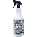 InstaGreen Premium Grass Paint butelka z rozpylaczem 1 litr / 1/8 galona USA - gotowa do użycia farba do trawy do trawników i żywopłotów - farba trawnikowa przeciwko żółtej trawie - naturalnie na