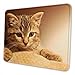 Produktbild The Studying Eyes of A KittenMousepad Decorated Mouse Mat Game Office Mouse Pad