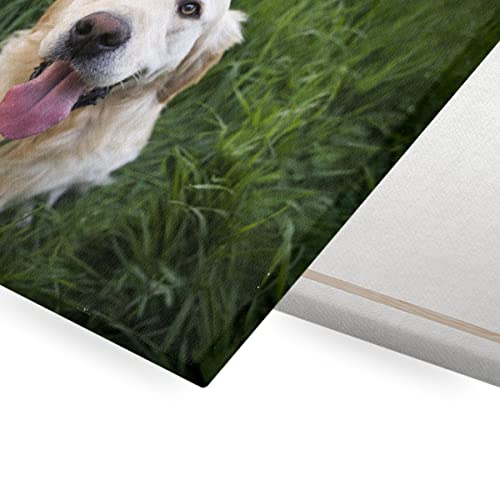Tableau chien mignon labrador blanc pour masquer mur vide salon