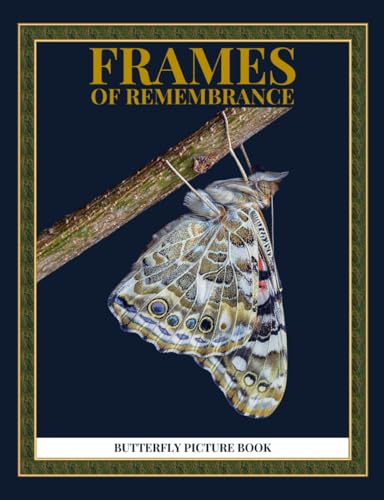 Frames of Remembrance: A Butterfly Toolkit for Dementia and Alzheimer's Caregivers.: Butterfly Picture Book.