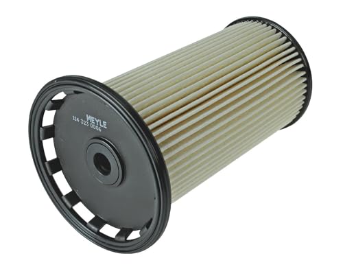 Filtre à carburant MEYLE 114 323 0006 pour éliminer les ratés de démarrage auto