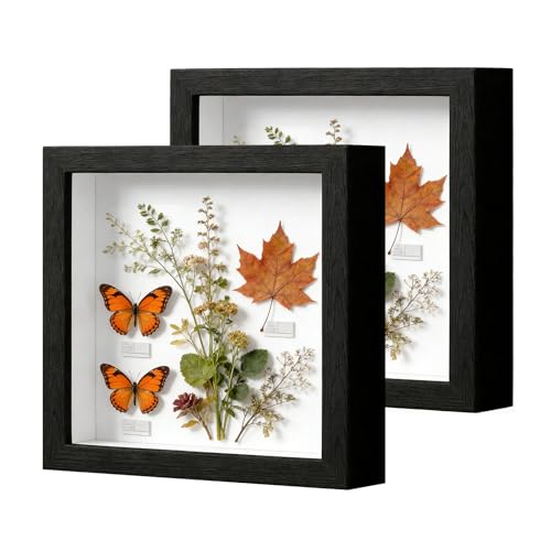 2 Stück Bilderrahmen zum Befüllen, Tiefer Bilderrahmen zum Befüllen 25 x 25 cm, mit Transparente Acrylplatte, 3D Objektrahmen Tiefer 3cm, Tiefer Rahmen Hölzern, für DIY Kunstwerke, Schwarz