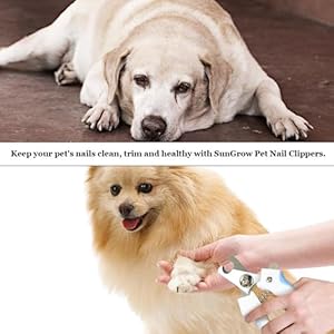 Sungrowdognailclipperandfilesetwithclipperandfilerazorsharpbladewithsafetyswitchblueandwhite1setperpack  Cucciolini Doodles   cucciolini doodles
