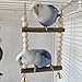 Barn Eleven Bird Hook Swing with Bell Toys, Hanging Stand Swing, Double Layer Wooden Perch Swing for Small Bird and Parrot (Large)