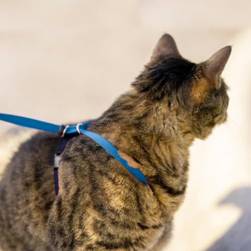 Miniatura 8 de Petsafe Easy Walk, Arnés Para Gatos, Con Correa Elástica, Arnés De Seguridad, Ajustable, Cómodo, Con Sección Elástica - Azul, M