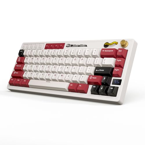 RK ROYAL KLUDGE M65 Wireless Mechanical Keyboard, 60% Compact Gaming Keyboard, 2.4G/Bluetooth/Wired, 6000mAh Gasket Mount Design, RGB Backlit with Knob & PBT Keycaps, Hot-Swap Beige Switch U
