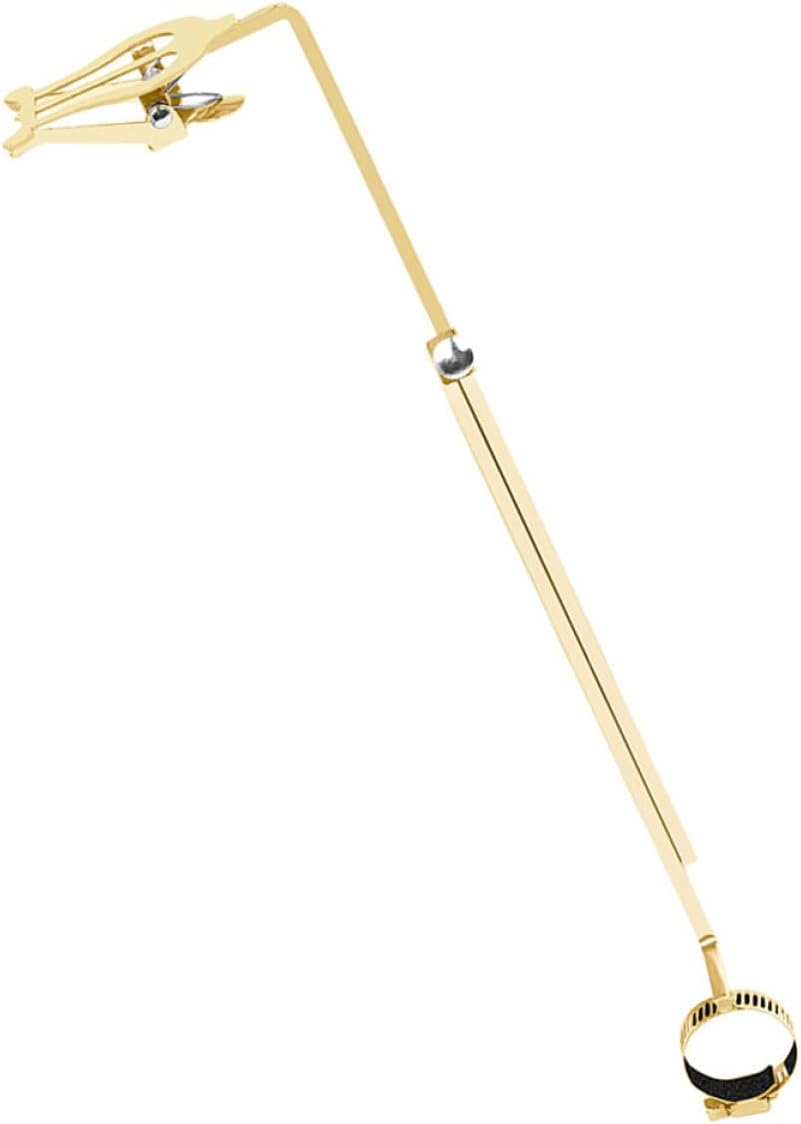 Holibanna 1pcs Portable Flute Lyre Folder Secure Sheet Music Holder for Flute Clarinet and Saxophone User-friendly Design for Musicians Gold