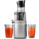 Masticating Juicers