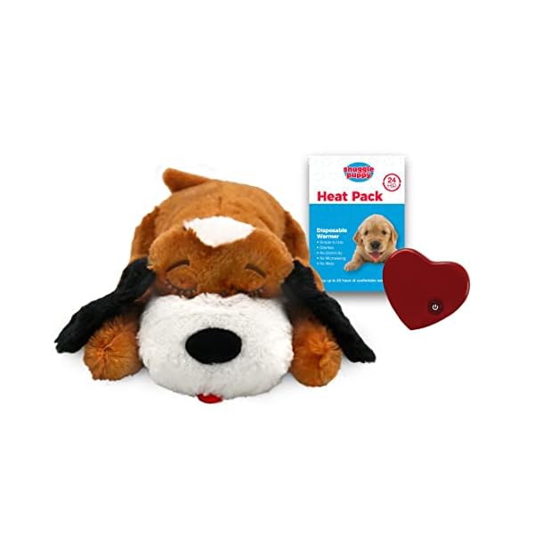 Pet Anxiety and Comfort Aid