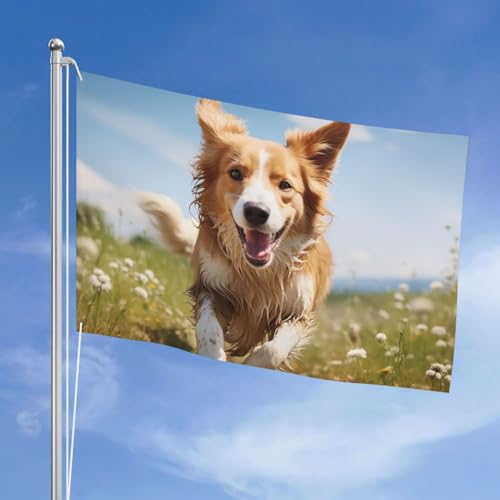 Bannière décorative pour chien double face en polyester robuste qui ne se décolore pas - 7