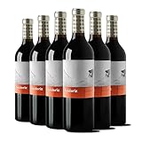 Valderiz 2020 - Vino Tinto Crianza - D.O Ribera del Duero – Ideal para Carnes a la Parrilla, Cordero Asado, Embutidos Selectos y Quesos Curados - Pack 6 Botellas 750ml