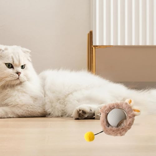 ＡＷＨＡＯ Brinquedo elétrico para gatos, bola com luz e movimento, Cinza