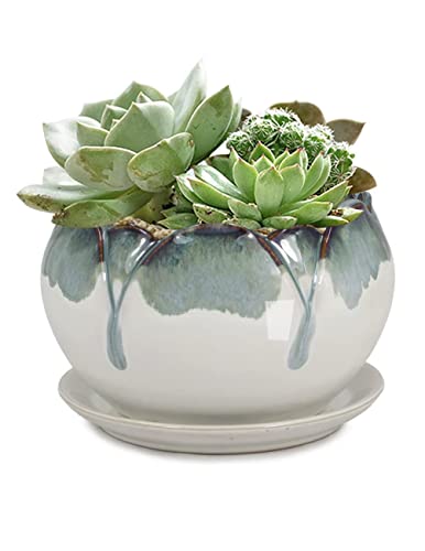 Dahlia Ceramic Planter