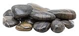 Rainforest 20 lb. Large Striped Grade A Polished 2 in. to 3 in.