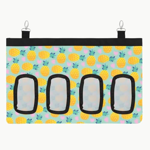 `V[  q e bg ``  a e (pCibv)