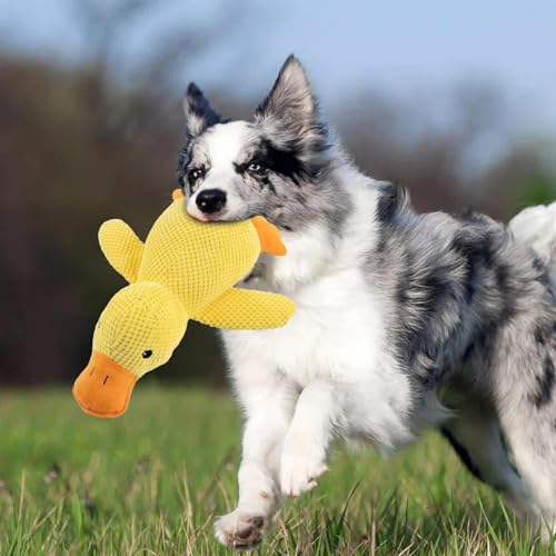 Squeaky Spielzeug für Hunde, Plüsch, Quietscheente für Welpen und Zahnen- lustiges interaktives Spielzeug zum Zahnen, Welpen, kleine Spiele im Innen- und Außenbereich-9