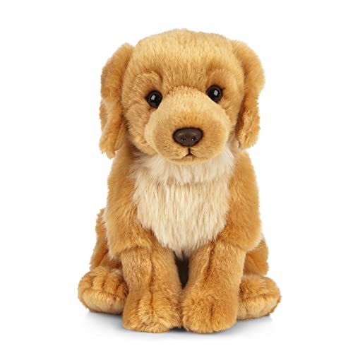 Peluche Living Nature - Chien Golden Retriever en peluche (20 cm)