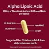 BESTVITE High Strength Alpha Lipoic Acid 600mg (per Capsule) with Biotin to Enhance Absorption (120 Vegetarian Capsules) - No Stearates - Vegan - Non GMO - Gluten Free