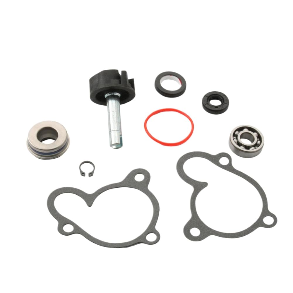 Kit Riparazione Pompa Acqua Compatibile Con Velvet 250 300 Kilibre 300 Password Skyliner 250cc 4T