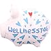 Produktbild KCG Sparschwein Wellnesstag klein